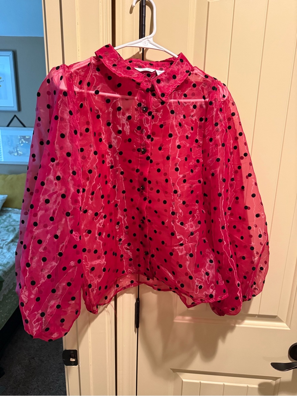 Kaktus Hot Pink Sheer Polka Dot Button-Up Blouse